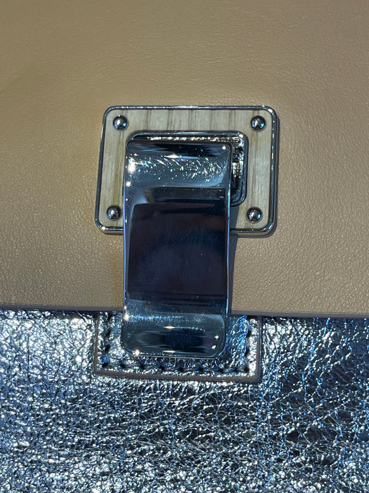 Proenza Schouler “Small Lunch Bag”