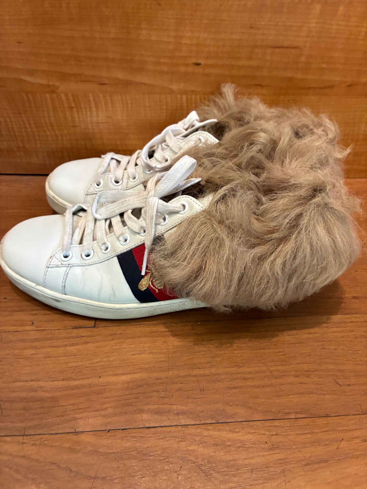 Gucci Ace Sneakers