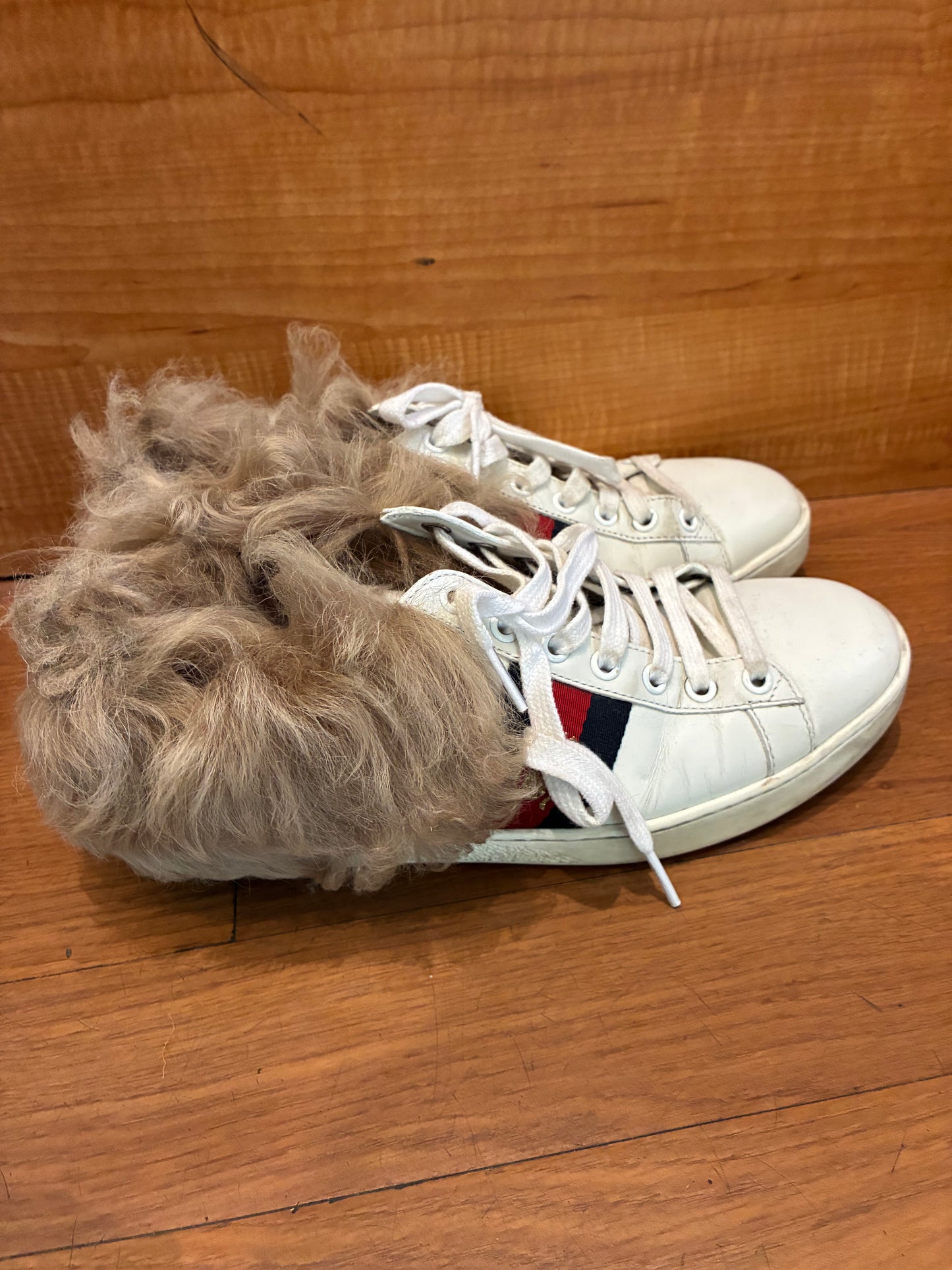 Gucci Ace Sneakers